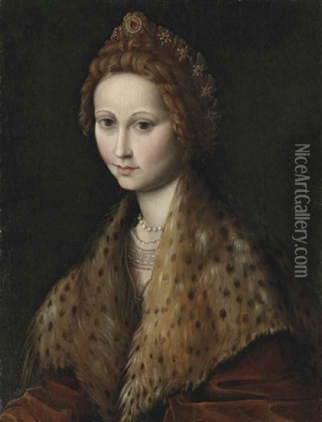 Portrait Of A Lady, Half-length, In A Red Coat With A Leopard-fur Mantle, Pearls And Jewels In Her Hair Oil Painting -  Bacchiacca