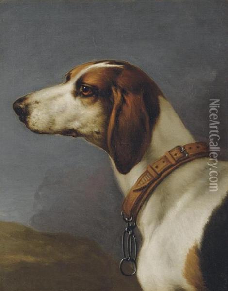 Head Of A Hound Oil Painting - John Wootton