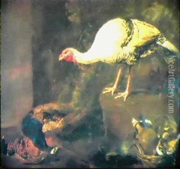 Natura Morta Con Tacchino Oil Painting - Giovanni Agostino (Abate) Cassana