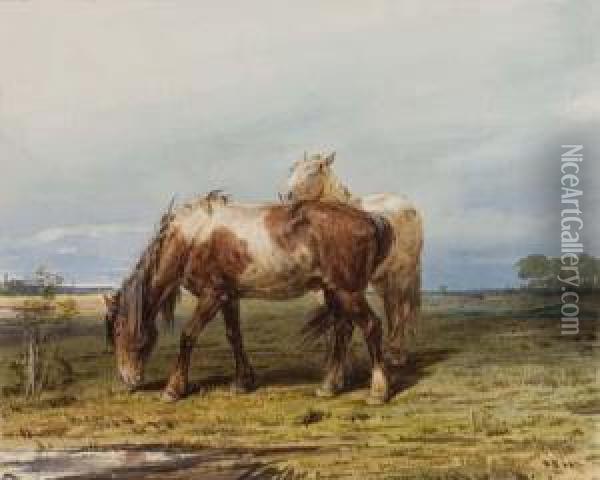 Two Horses In A Field Oil Painting - Pyotr Fyodorovich Sokolov