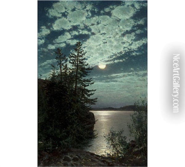 Moonlight Oil Painting - Magnus Hjalmar Munsterhjelm