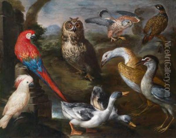 Exotische Vogel In Denvolieren Grosherzog Cosimos Iii. Von Toskana: Enten Oil Painting - Bartolommeo Bimbi