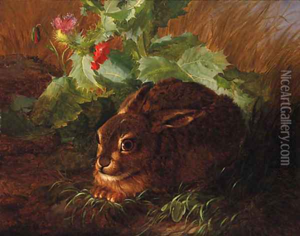 A Rabbit in long Grass Oil Painting - Andreas Lach