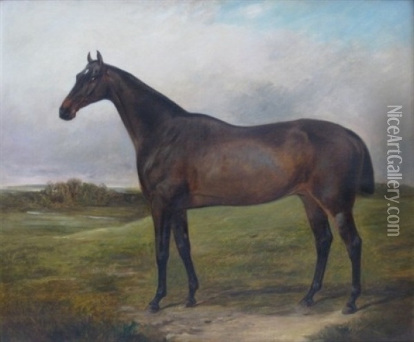 Profile Of A Thoroughbred Oil Painting - George Cole