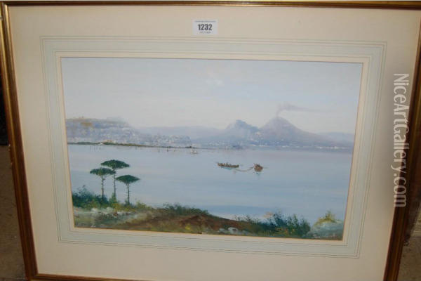 View Across The Bay Of Naples Oil Painting - Rosa Corelli