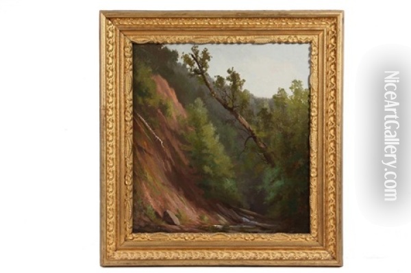Leaning Tree At Cliff Face Oil Painting - Edward Hill