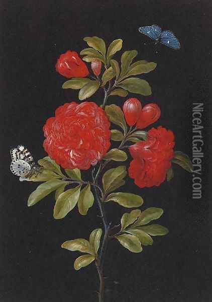 Still Life of a Rose and Butterflies Oil Painting - Barbara Regina Dietzsch