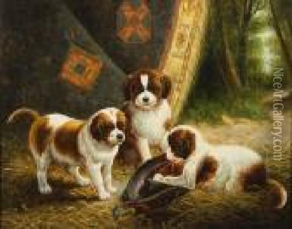 A Study Of St Bernard Puppies Oil Painting - Gabriel Metsu