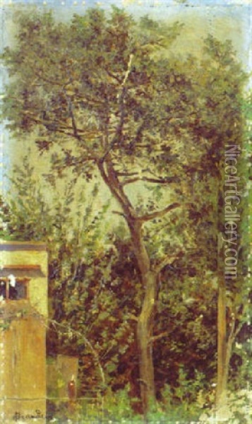 L'arbre Oil Painting - Antonietta Brandeis
