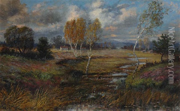 Herbstliche Riedlandschaft Oil Painting - Carl Mueller-Baumgarten
