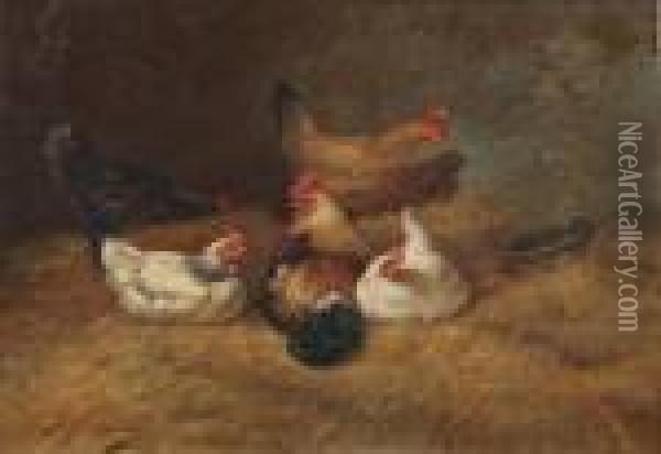 Cockerels And Chickens In The Hay Oil Painting - Charles Emile Jacque
