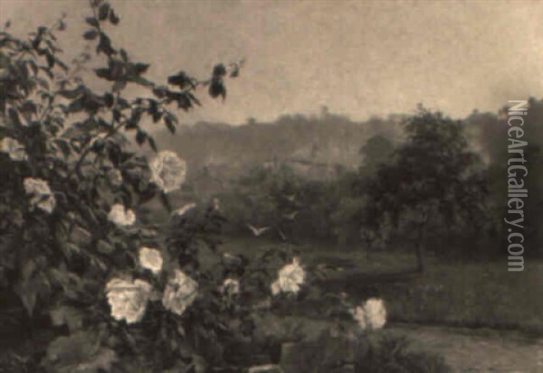 Buisson De Roses Dans La Campagne Oil Painting - Gustave Karcher