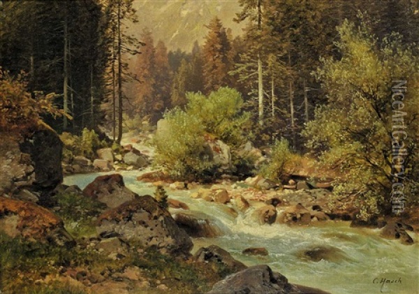 Untitled - Cool Mountain Stream Oil Painting - Carl Hasch