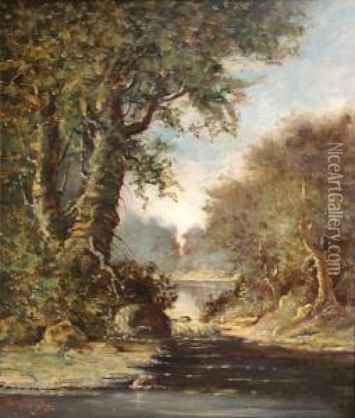Forrest Stream Oil Painting - David Middleton Cooper