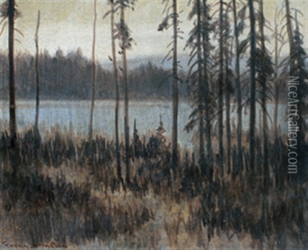 Northern Mists Oil Painting - Francis Hans Johnston