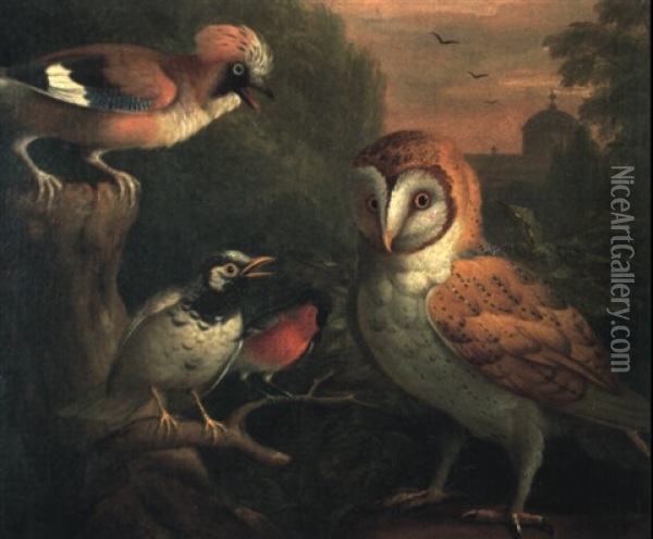A Barn Owl, A Jay, A Bullfinch And Thrush In A Wooded Landscape Oil Painting - Jakob Bogdani