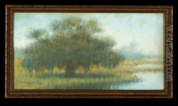 Bayou Cypress Oil Painting - Alexander John Drysdale