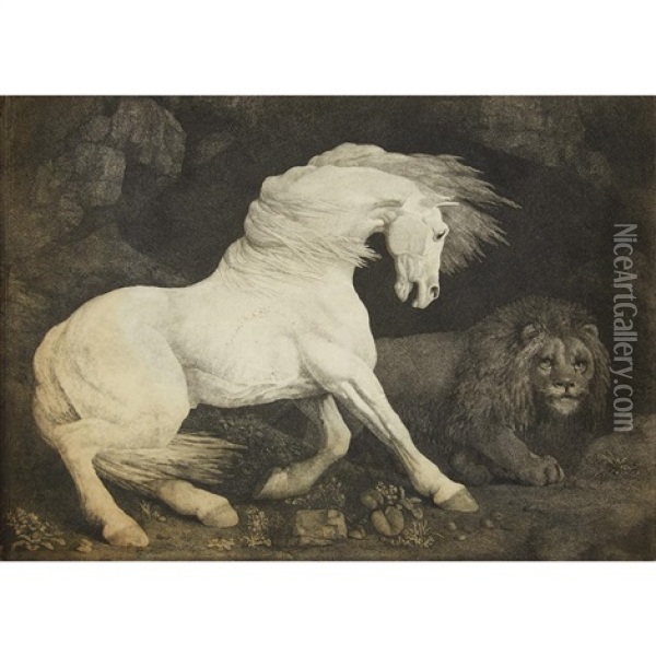 A Horse Affrighted At A Lion Oil Painting - George Stubbs