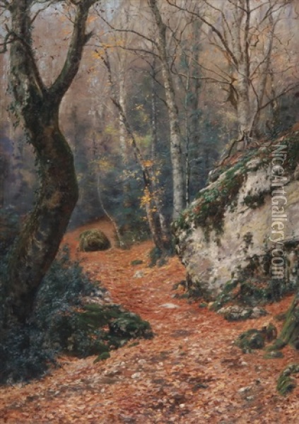 Waldlandschaft, Massif De La Sainte Baume Oil Painting - Johan Peter Von Wildenradt