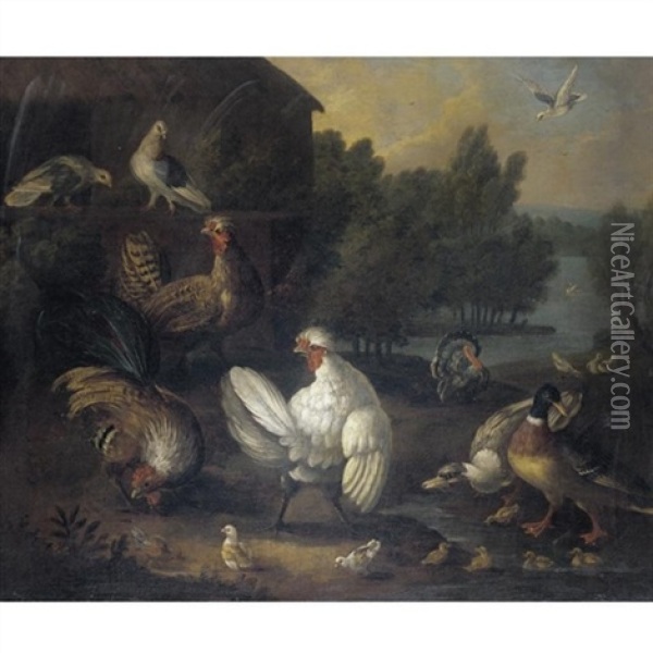 A Farmyard Still Life With Doves, Chickens And Chicks, Ducks And Ducklings, A Cockerel, And A Turkey Oil Painting - Marmaduke Cradock