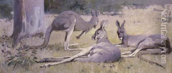 Three Grey Kangaroos Oil Painting - Henry Glede Garlick
