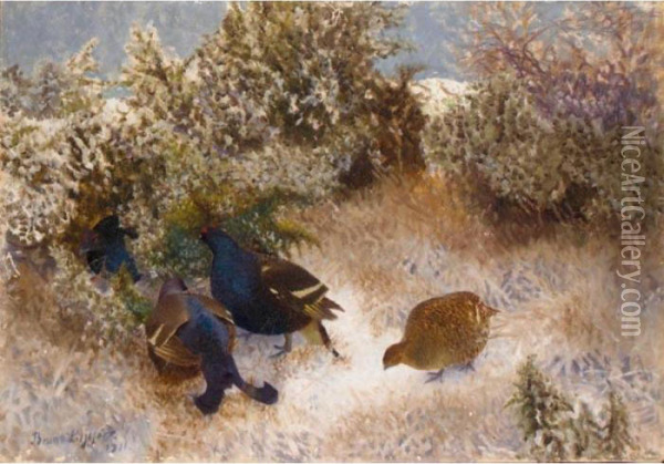Landskap Med Fjallripa (ptarmigan In A Landscape) Oil Painting - Bruno Andreas Liljefors