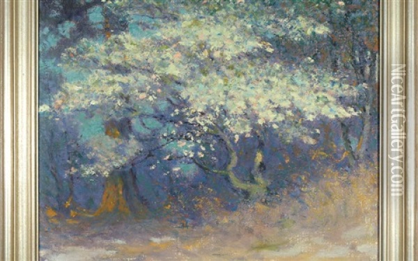 The Dogwood And Pine Tree Oil Painting - William Baxter Closson