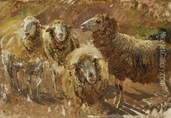 Sheep Studies Oil Painting - Heinrich von Zuegel