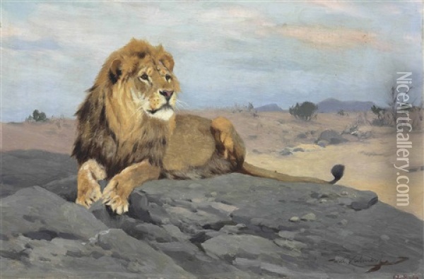 Lion Resting Oil Painting - Wilhelm Friedrich Kuhnert