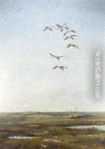 Flygande Tranor Oil Painting - Rolf Mellstrom