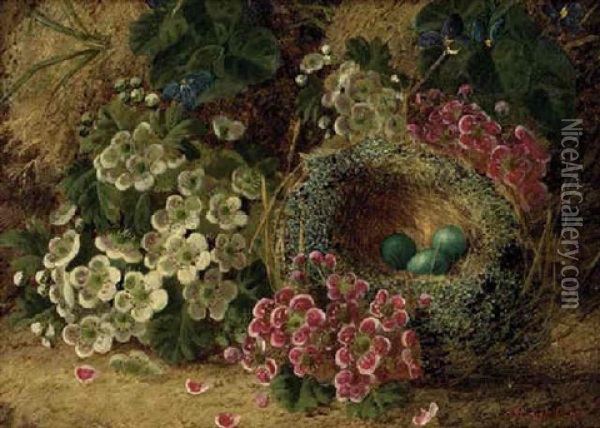 Blossom And A Bird's Nest With Eggs, On A Mossy Bank Oil Painting - Oliver Clare