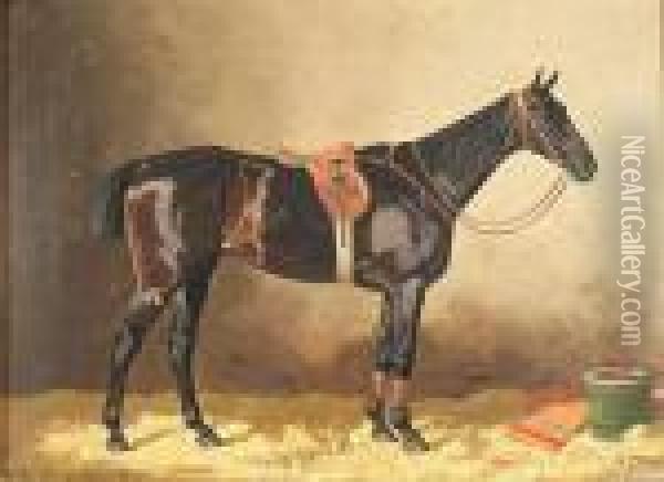 A Saddled Black Horse In A Stable Oil Painting - Emil Volkers