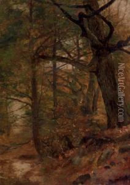 A Grove Of Trees, Ashokan, New York Oil Painting - Jervis McEntee