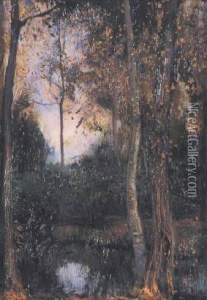 Paesaggio Con Alberi Oil Painting - Andrea Tavernier