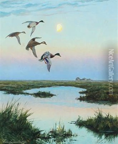 Moorland Scenery With Ducks In The Moonlight Oil Painting - William Gislander