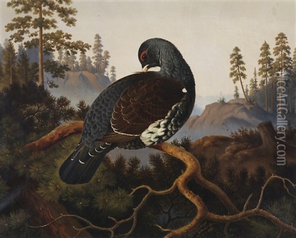 Capercaillie Oil Painting - Lennart Forsten