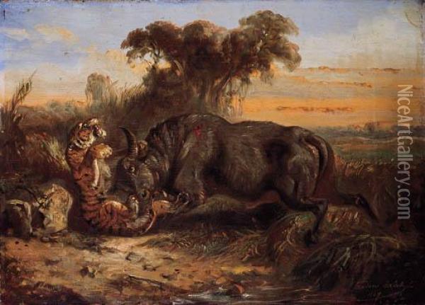 Combat Between A Buffalo And Tiger Oil Painting - Raden Sjarief B. Saleh