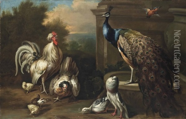 A Cockerel, A Hen, Chicks, Pigeons, A Peacock And A Finch Beside A Fountain In A Landscape Oil Painting - Pieter Casteels III