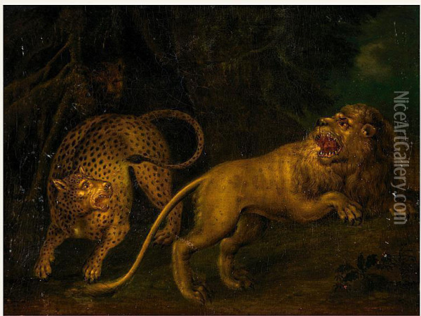 Lowe Und Leopard Oil Painting - Juriaen Jacobsen