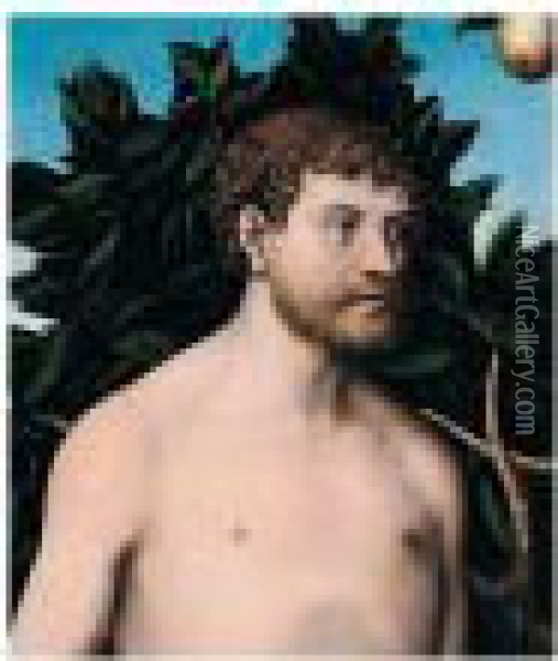 Adam Oil Painting - Lucas The Elder Cranach