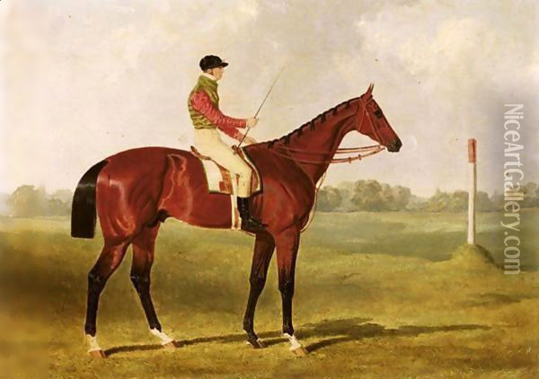 Phosphorus, A Bay Racehorse With George Edwards Up, On A Racecourse Oil Painting - John Frederick Herring Snr
