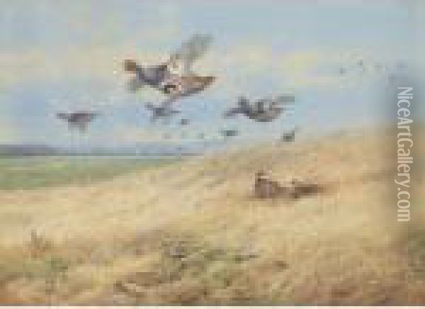 Grey Partridges In Flight Oil Painting - Archibald Thorburn