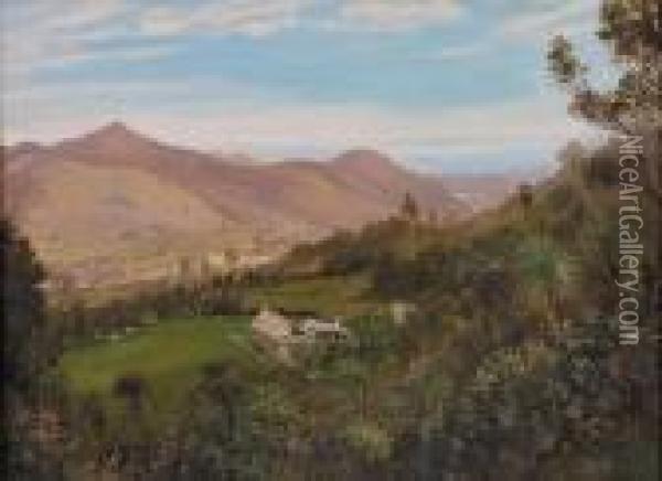 North Island Landscape Oil Painting - Charles Blomfield