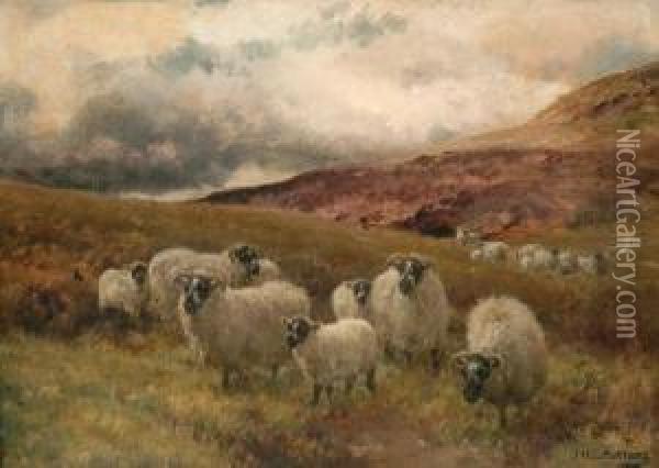 Grazing Sheep Oil Painting - Jan Hendrik Scheltema