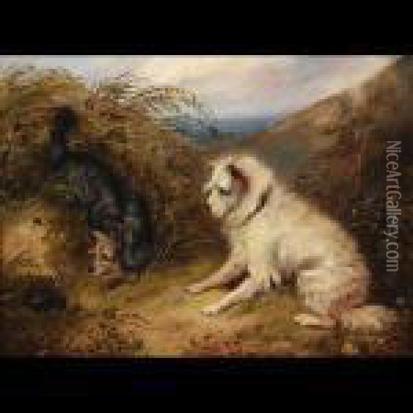 Terriers At A Rabbit Hole Oil Painting - George Armfield
