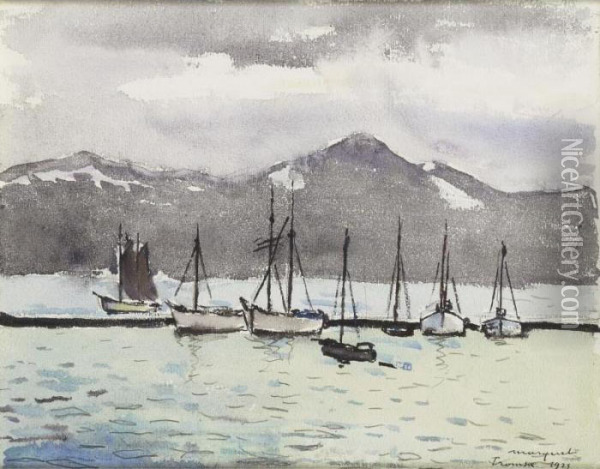 Le Port De Tromsoe, Norvege Oil Painting - Albert Marquet