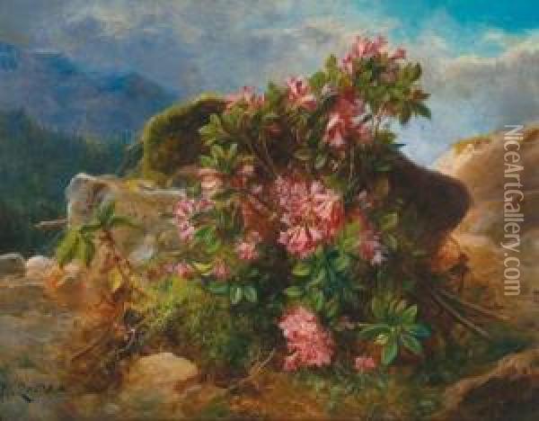Alpine Roses From Styria Oil Painting - Hans Zatzka
