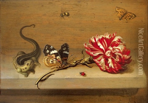 Stillleben Mit Nelke Und Insekten Oil Painting - Johannes Bouman