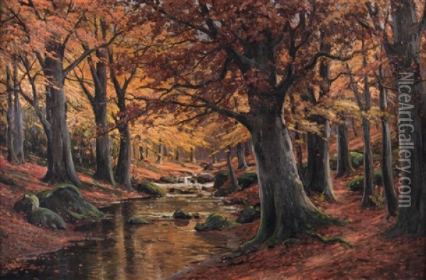 Herbstwald Oil Painting - Bruno Moras
