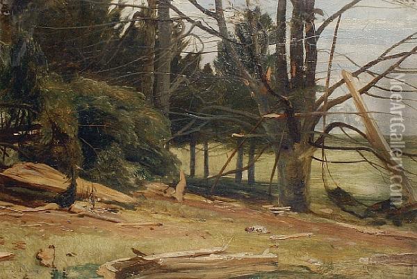 A Woodland Clearing Oil Painting - Joseph Denovan Adam